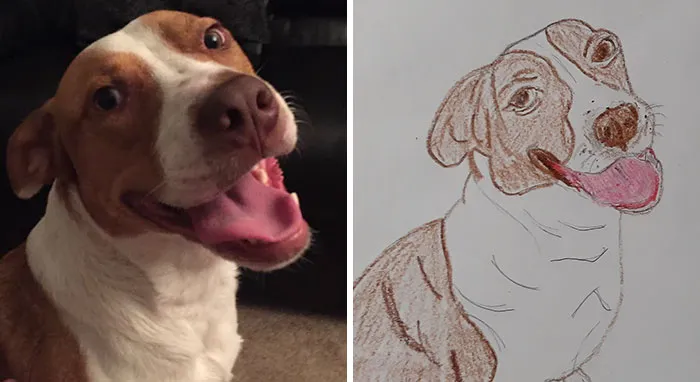Esta protectora de animales promete hacer un dibujo cutre pero original de tu mascota por cada donación de 15$, y estos son los resultados (35 fotos)