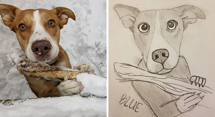Humane Society Promises To Make A Bad Original Drawing Of Your Pet For A $15 Donation And Here's The Results (35 Pics)