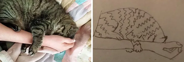 Humane Society Promises To Make A Bad Original Drawing Of Your Pet For A $15 Donation And Here's The Results (35 Pics)