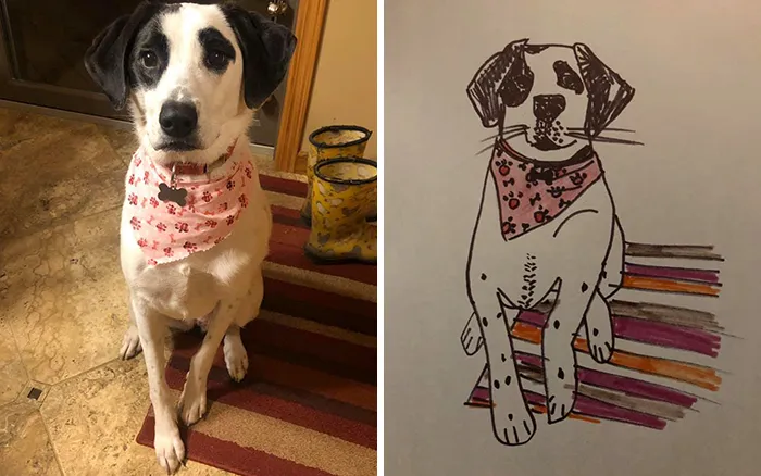 Humane Society Promises To Make A Bad Original Drawing Of Your Pet For A $15 Donation And Here's The Results (35 Pics)