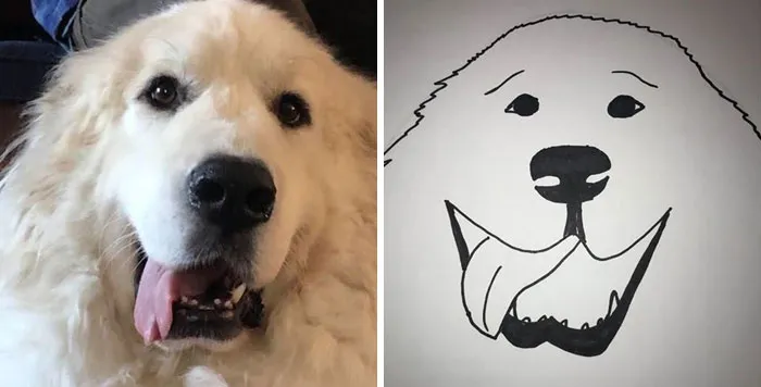 Esta protectora de animales promete hacer un dibujo cutre pero original de tu mascota por cada donación de 15$, y estos son los resultados (35 fotos)