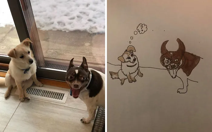 Esta protectora de animales promete hacer un dibujo cutre pero original de tu mascota por cada donación de 15$, y estos son los resultados (35 fotos)