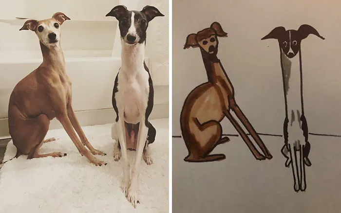 Esta protectora de animales promete hacer un dibujo cutre pero original de tu mascota por cada donación de 15$, y estos son los resultados (35 fotos)
