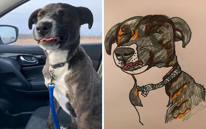 Esta protectora de animales promete hacer un dibujo cutre pero original de tu mascota por cada donación de 15$, y estos son los resultados (35 fotos)