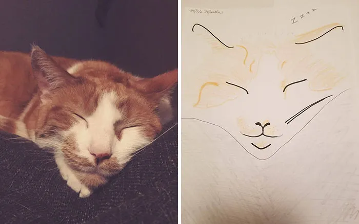 Esta protectora de animales promete hacer un dibujo cutre pero original de tu mascota por cada donación de 15$, y estos son los resultados (35 fotos)