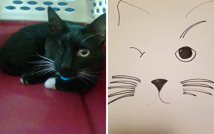 Esta protectora de animales promete hacer un dibujo cutre pero original de tu mascota por cada donación de 15$, y estos son los resultados (35 fotos)