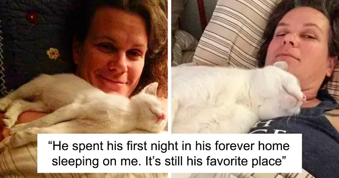 This Online Community Shares How Their Adopted Cats Looked Then & Now And It's Heartwarming (30 Pics)