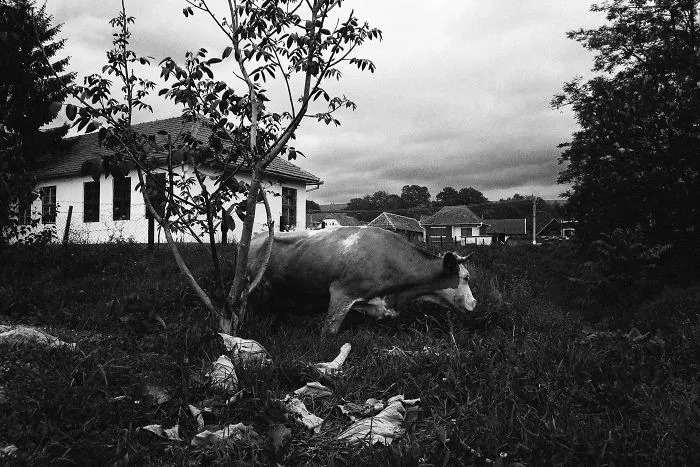 I Photographed Romania For A Project Called "Between Mud And Sky"