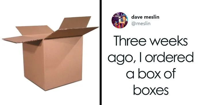 This Person’s Attempt To Order A Box Of Boxes From Amazon Fails So Badly, It Becomes A Meme