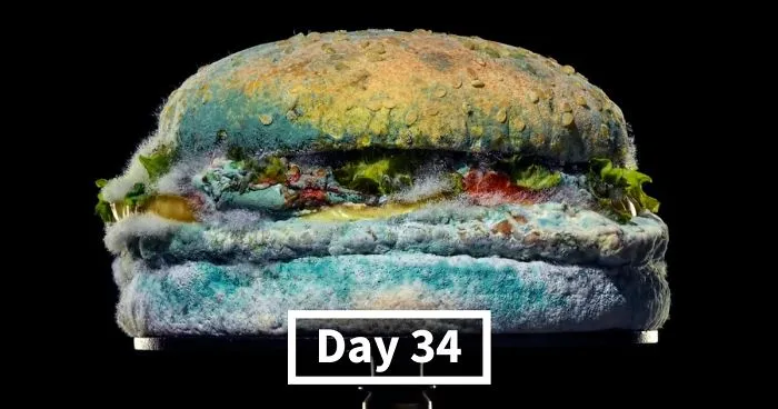 Burger King Releases An Ad Showing How Its New Whopper Will Look In 34 Days