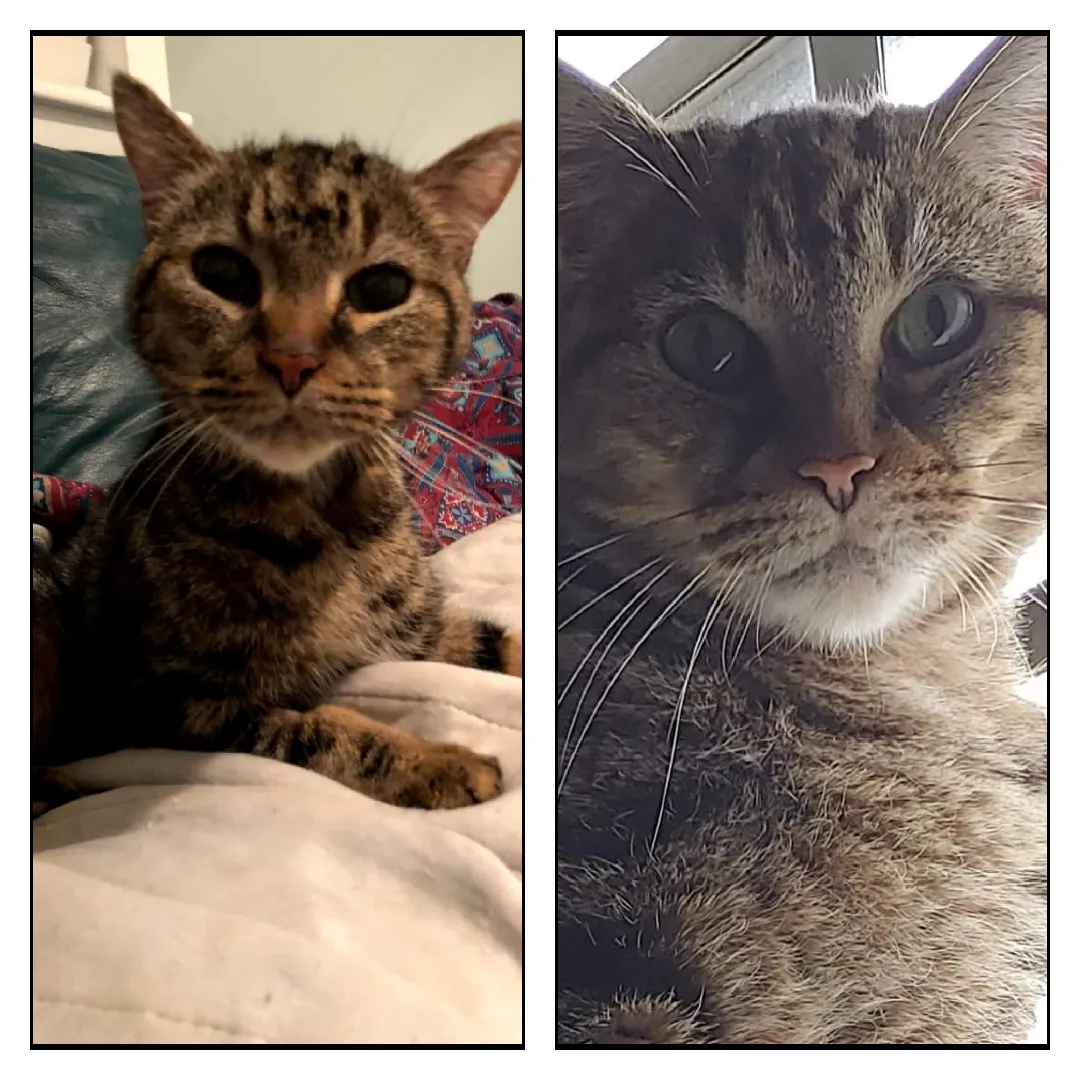 Raphael Before And After