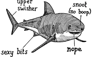 Here Are Our 30 Best Comics That Depict The Snarky Conversations Between Sharks And Other Aquatic Life