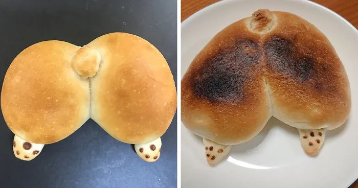 These Corgi Butt Buns Filled With Apple Jelly And Custard Are Going Viral