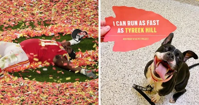 Super Bowl Winner Celebrates Victory By Paying The Adoption Fees Of Every Dog In A Shelter