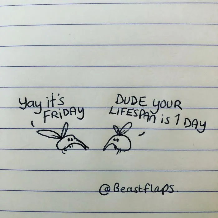 24 Funny Doodles This Artist Drew During Meetings They Didn't Need To Be At