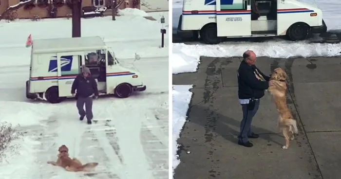Doggo Waits Every Day To Get A Hug From His Favorite Mailman