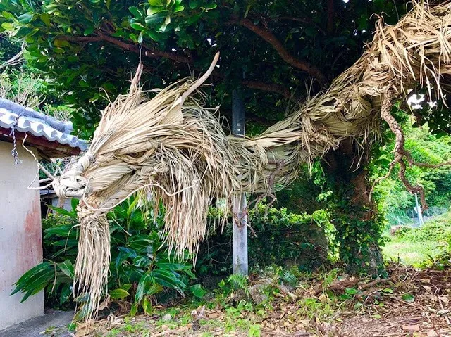 This Dragon Is Made From Palm Leaves