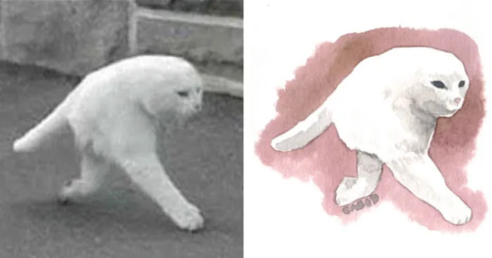 I Made Some Meme Cats Watercolors Because I Love Them