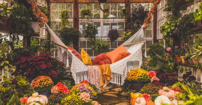 I Would Spend All Day In This Greenhouse