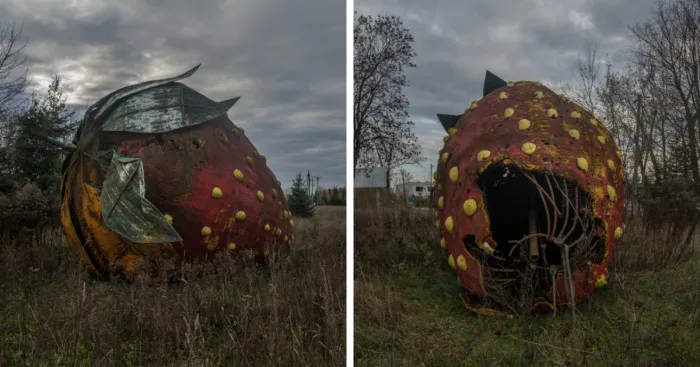 I Found A Large Abandoned Strawberry In Poland