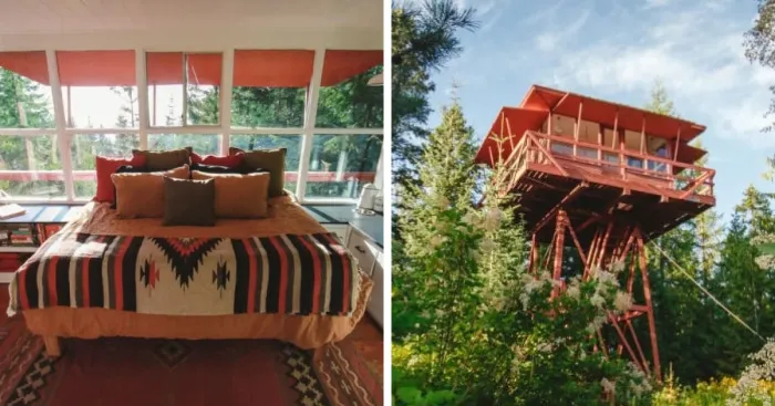 1950s Fire Lookout Transformed Into An Off-Grid Shelter