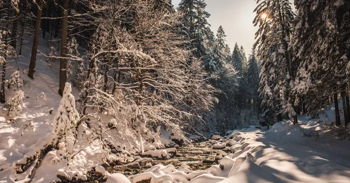 I've Got Lost In The Winter Wonderland And Captured These Photographs (14 Pics)