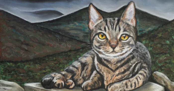 I Am A Pastel Artist And I Create These Realistic Pieces