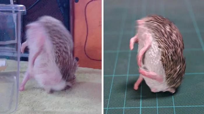 Japanese Artist Turns Hilarious Animal Moments Into Sculptures, And The Result Makes Them Even Funnier (30 Pics)
