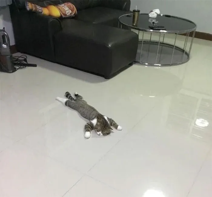 Dia agotador
