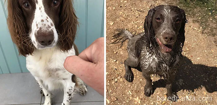 Was Asked If Martha Ever Got Muddy. Well, Yes. A Little