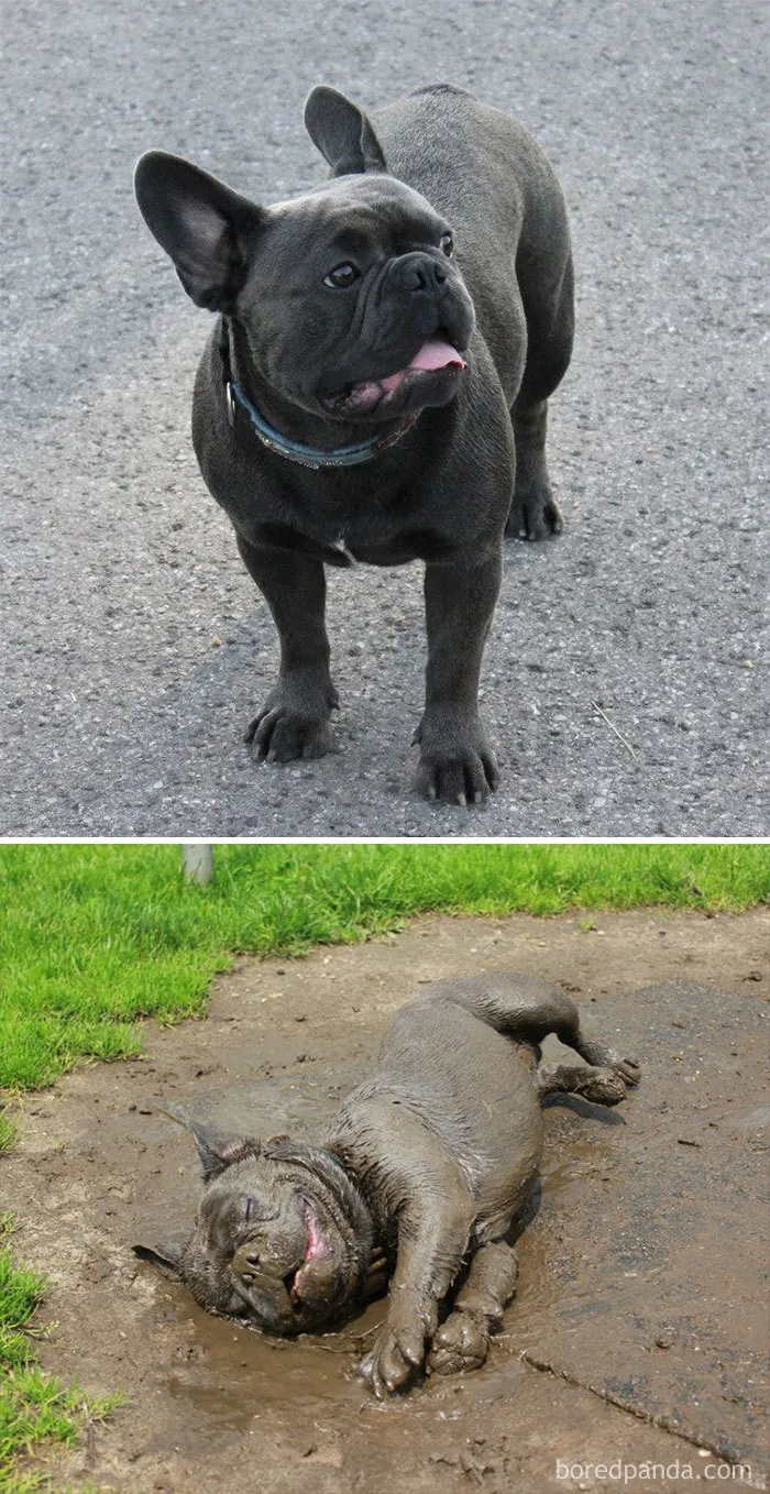 Antes y después del baño de barro