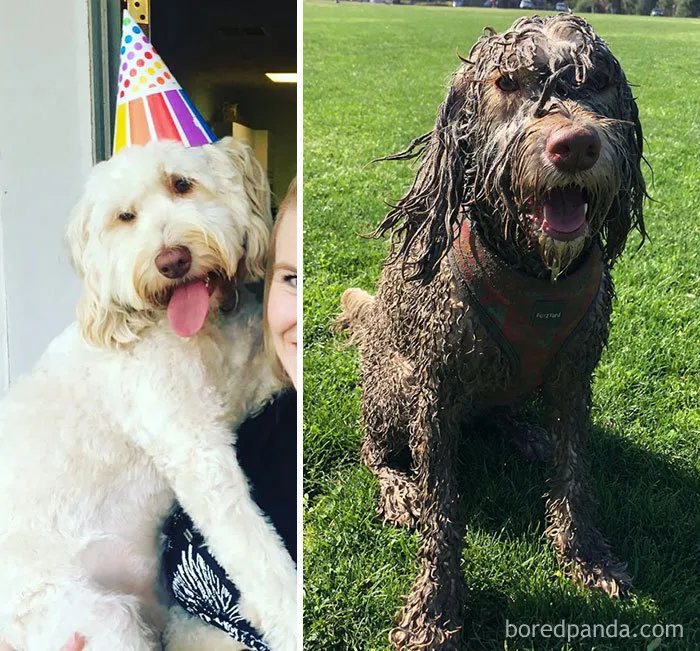 Hands Up If You Love Mud Puddles