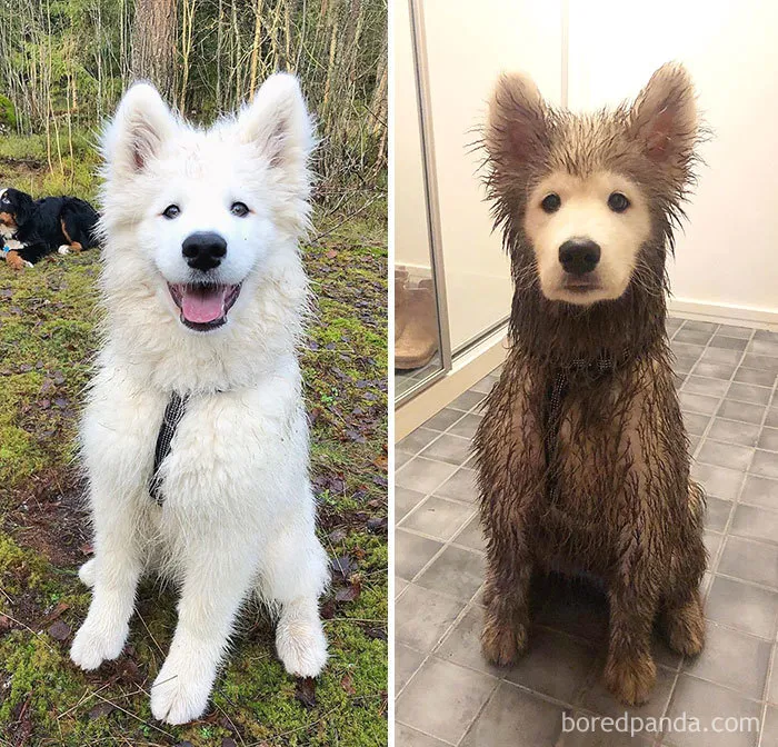 Before And After Playdate