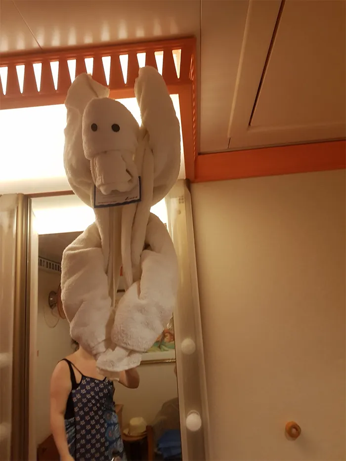 30 Times People Had The Best Towel-Folding Experiences In Hotels