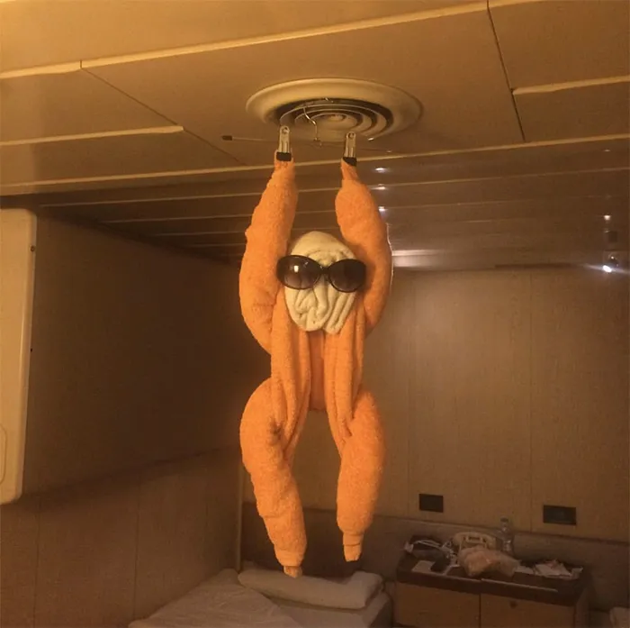30 Times People Had The Best Towel-Folding Experiences In Hotels