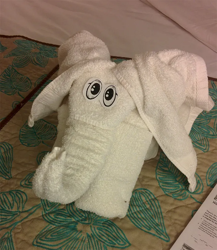 30 Times People Had The Best Towel-Folding Experiences In Hotels