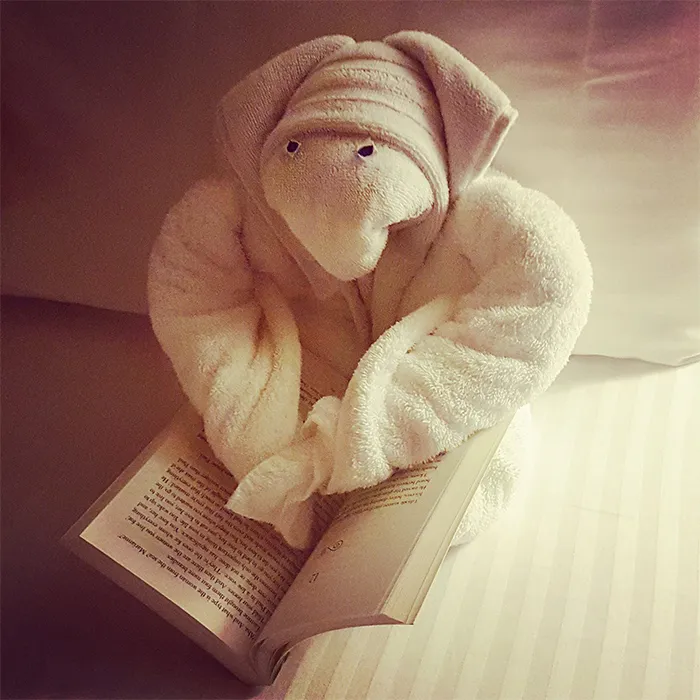30 Times People Had The Best Towel-Folding Experiences In Hotels