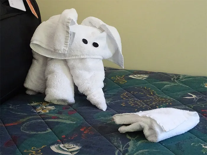30 Times People Had The Best Towel-Folding Experiences In Hotels