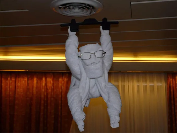 30 Times People Had The Best Towel-Folding Experiences In Hotels