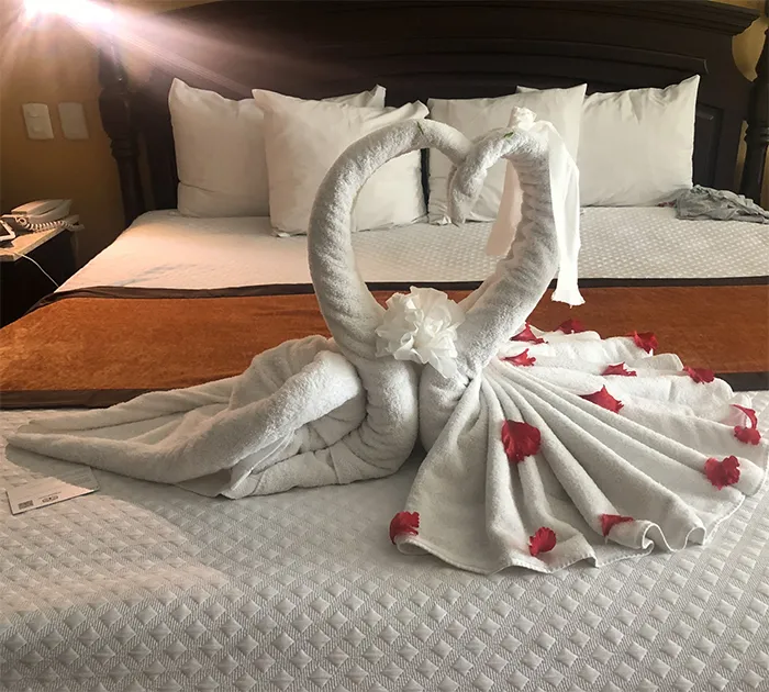 30 Times People Had The Best Towel-Folding Experiences In Hotels