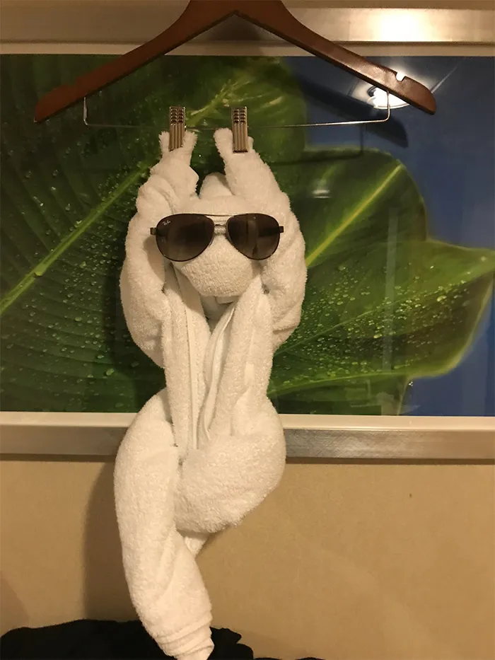 30 Times People Had The Best Towel-Folding Experiences In Hotels