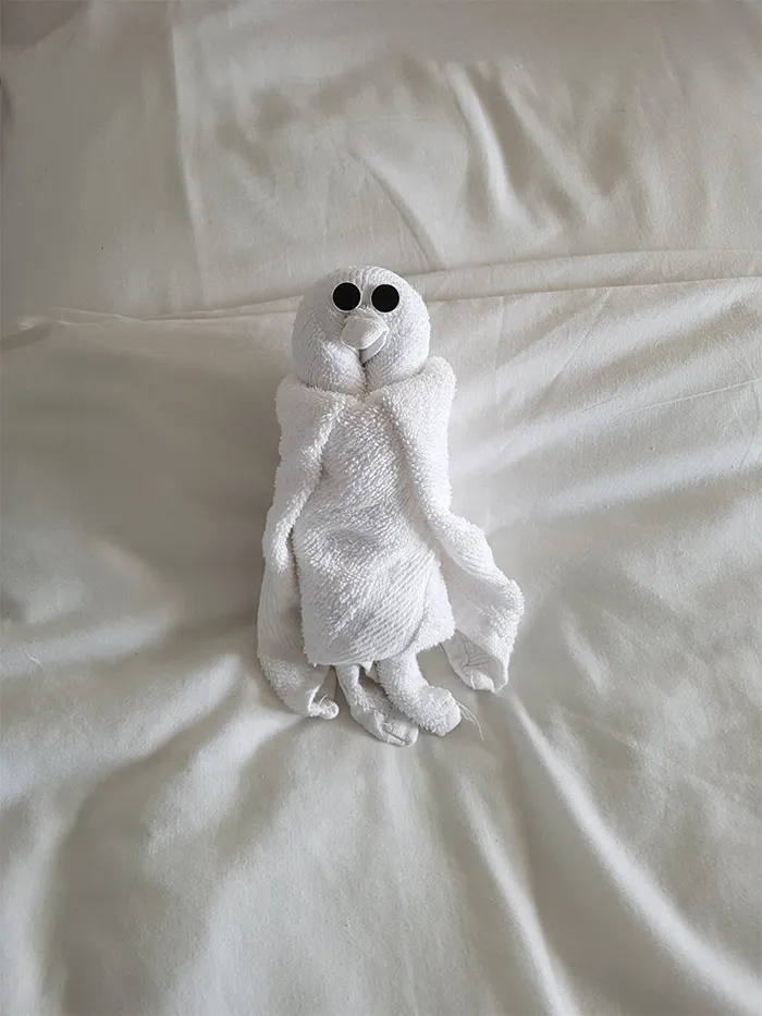 30 Times People Had The Best Towel-Folding Experiences In Hotels