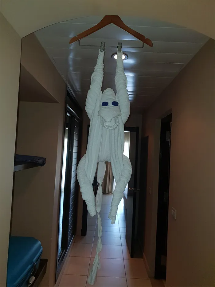 30 Times People Had The Best Towel-Folding Experiences In Hotels