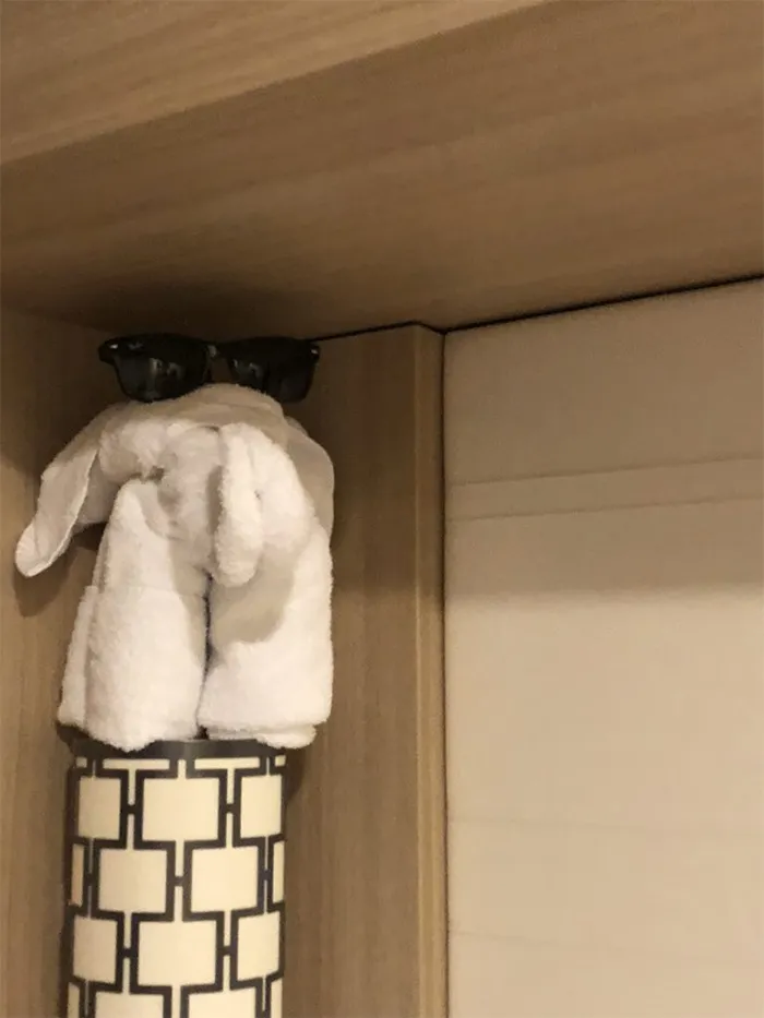30 Times People Had The Best Towel-Folding Experiences In Hotels