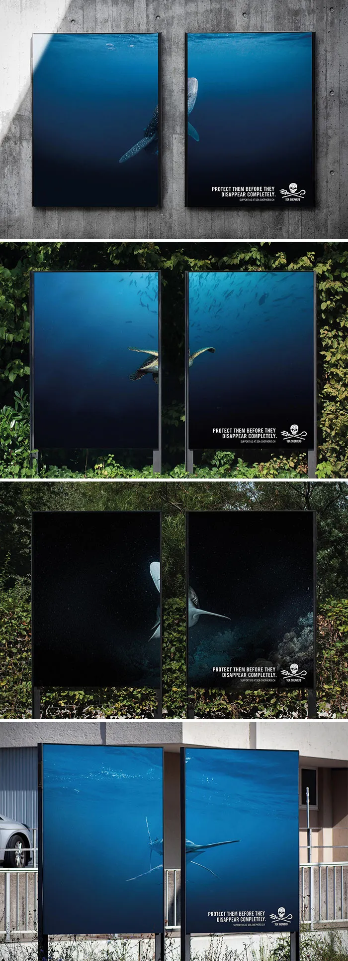 Sea Shepherd Switzerland