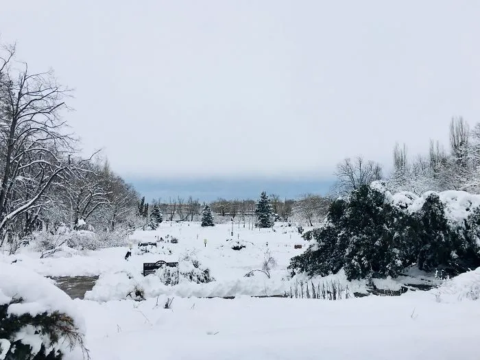 I Captured Bucharest Under Snow (30 Pics)
