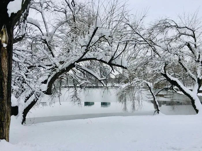I Captured Bucharest Under Snow (30 Pics)