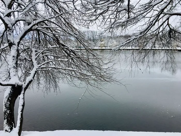 I Captured Bucharest Under Snow (30 Pics)