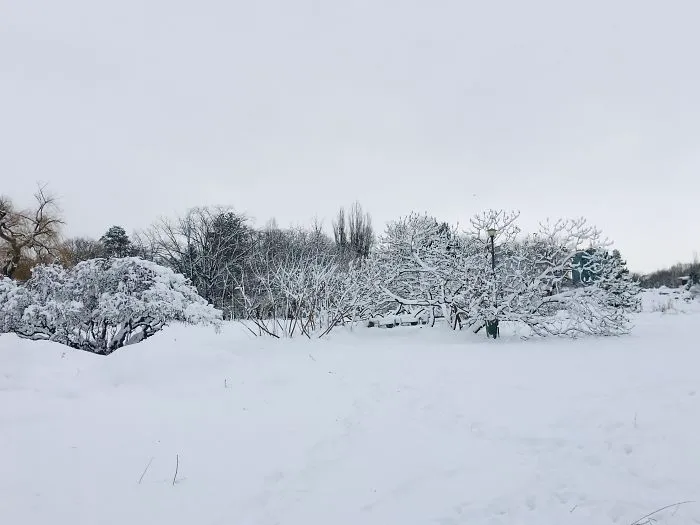 I Captured Bucharest Under Snow (30 Pics)