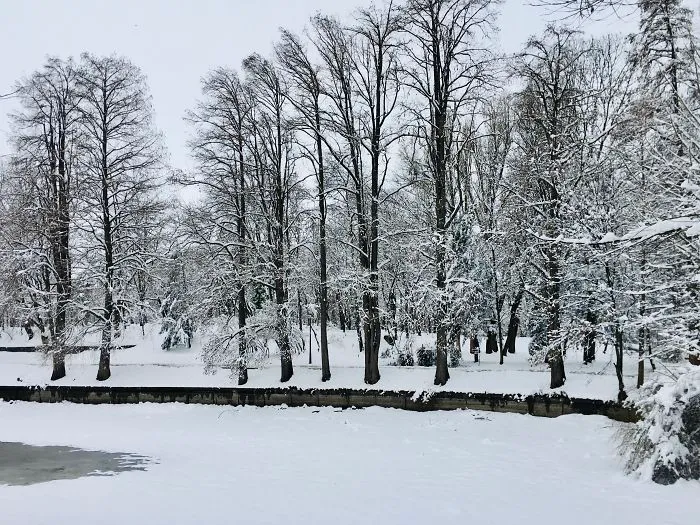 I Captured Bucharest Under Snow (30 Pics)
